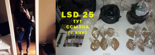 ПСИЛОЦИБИНОВЫЕ ГРИБЫ Алексеевка