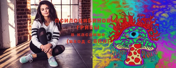 ПСИЛОЦИБИНОВЫЕ ГРИБЫ Алексеевка