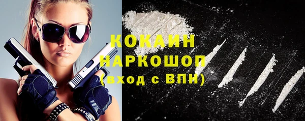 стафф Алексин