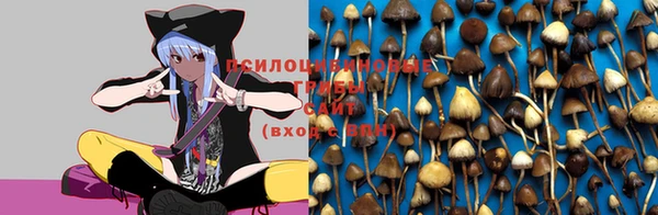 ПСИЛОЦИБИНОВЫЕ ГРИБЫ Алексеевка