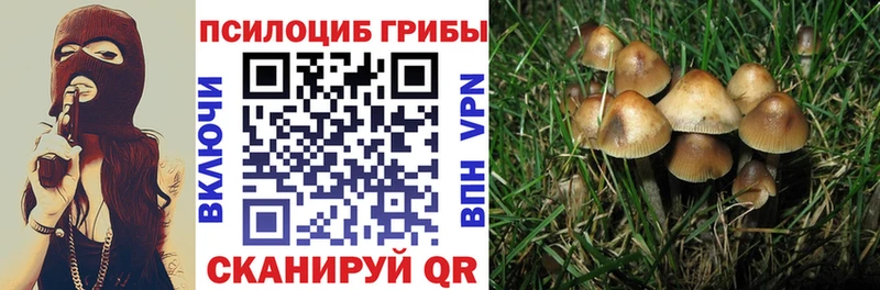 Галлюциногенные грибы MAGIC MUSHROOMS  kraken маркетплейс  нарко площадка Telegram  Калач-на-Дону 